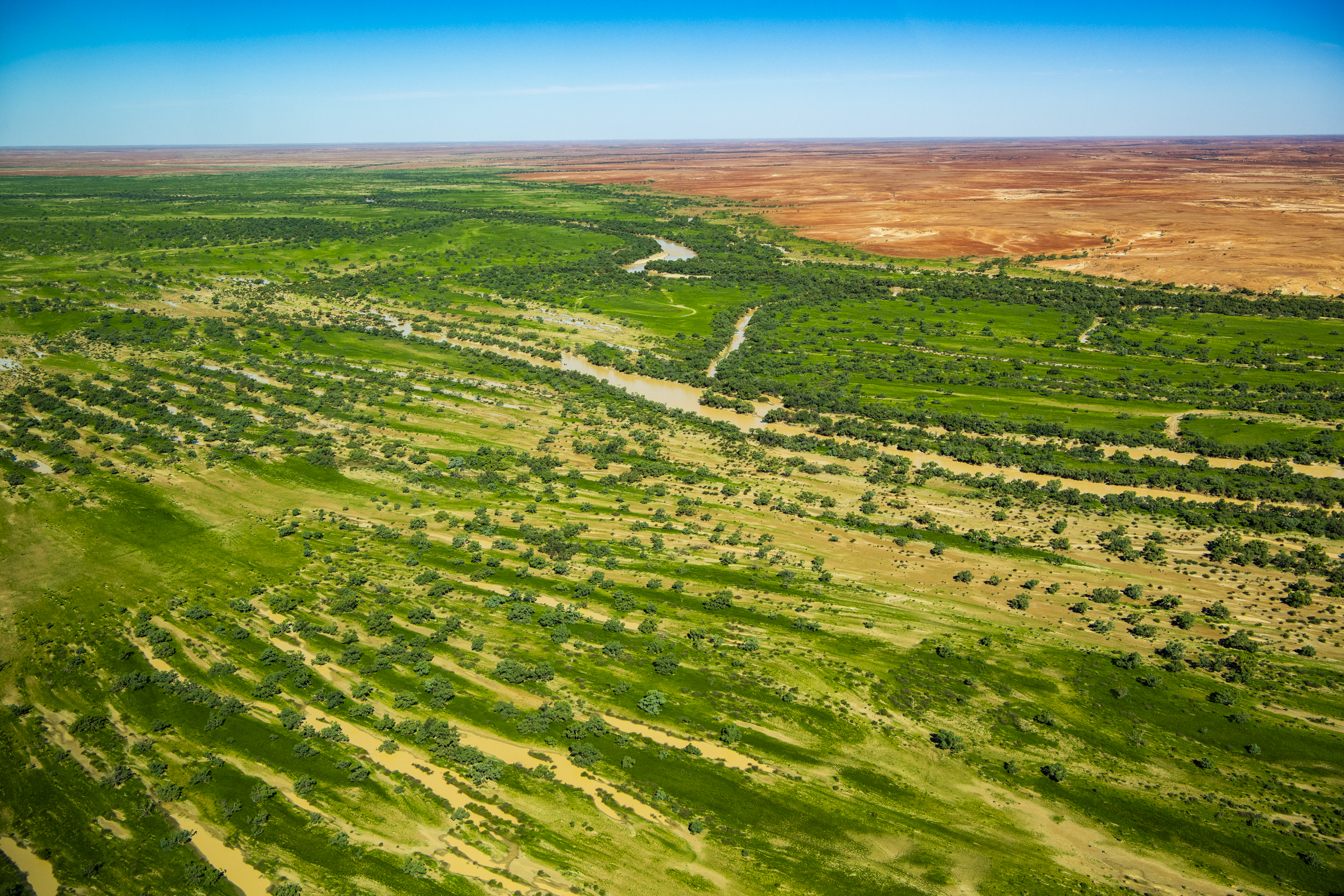 Channel country, Photo by Gary Cranitch </br> © Queensland Museum