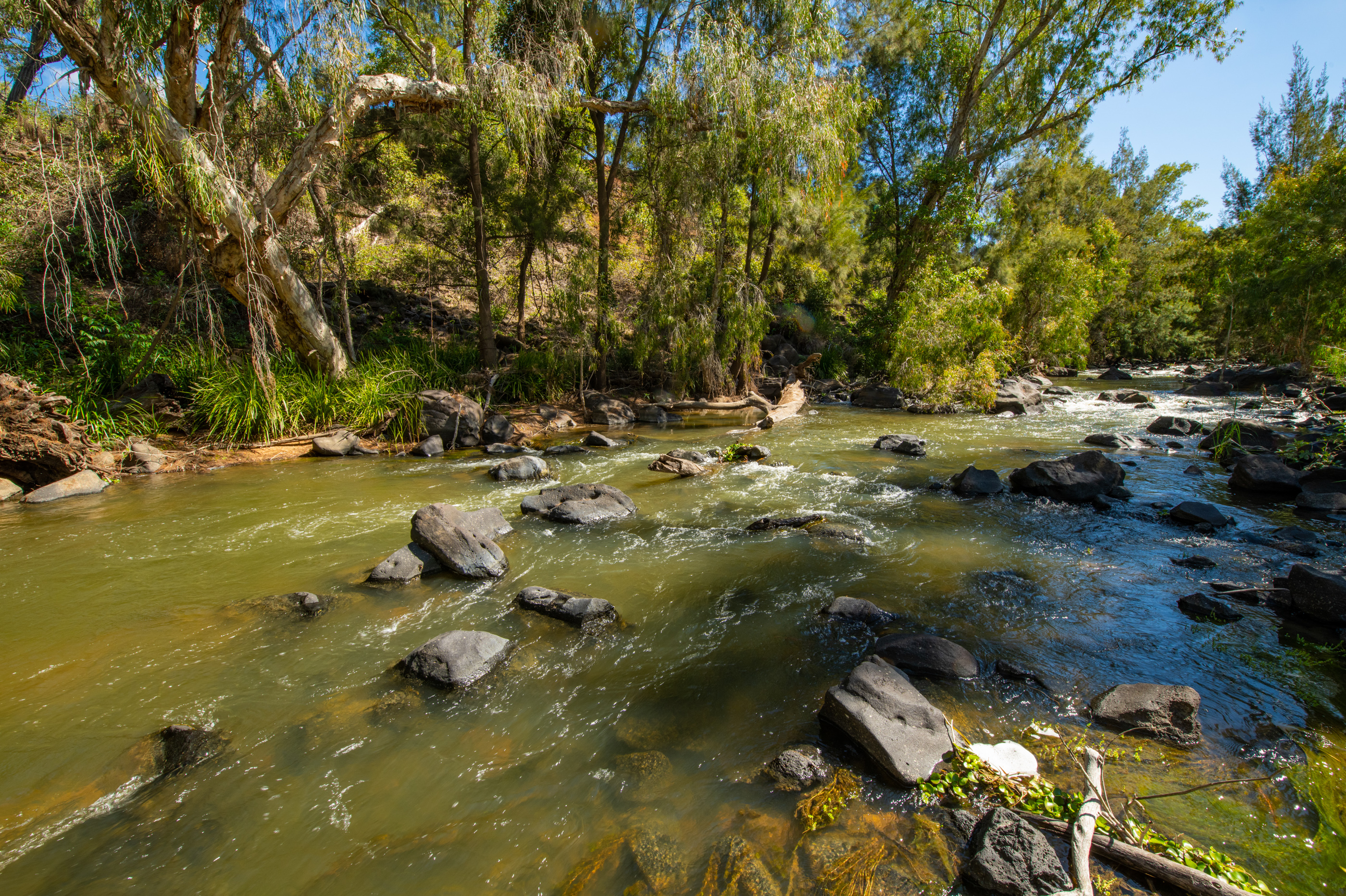Permanent, flowing system, Photo by Gary Cranitch </br> © Queensland Museum