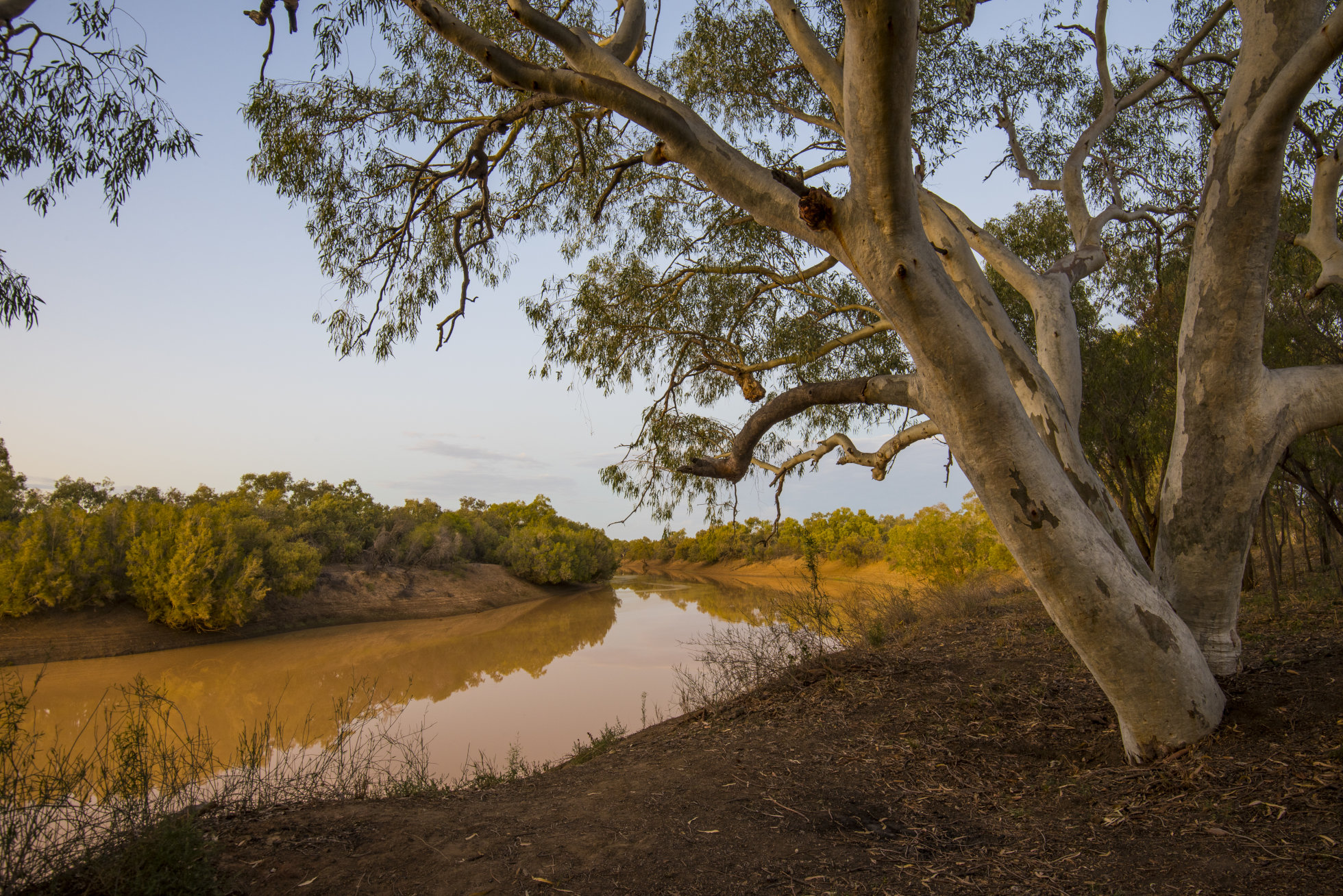 Western Murray-Darling Basin, Photo by Gary Cranitch </br> © Queensland Museum