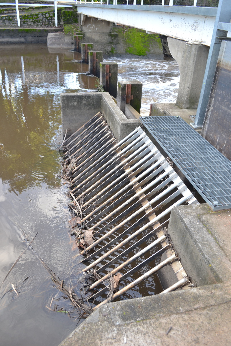 Trash rack on vertical slot fishway, showing debris prevented from entering the fishway (Seven Creeks, Euroa, Victoria)
Photo by Ivor Stuart