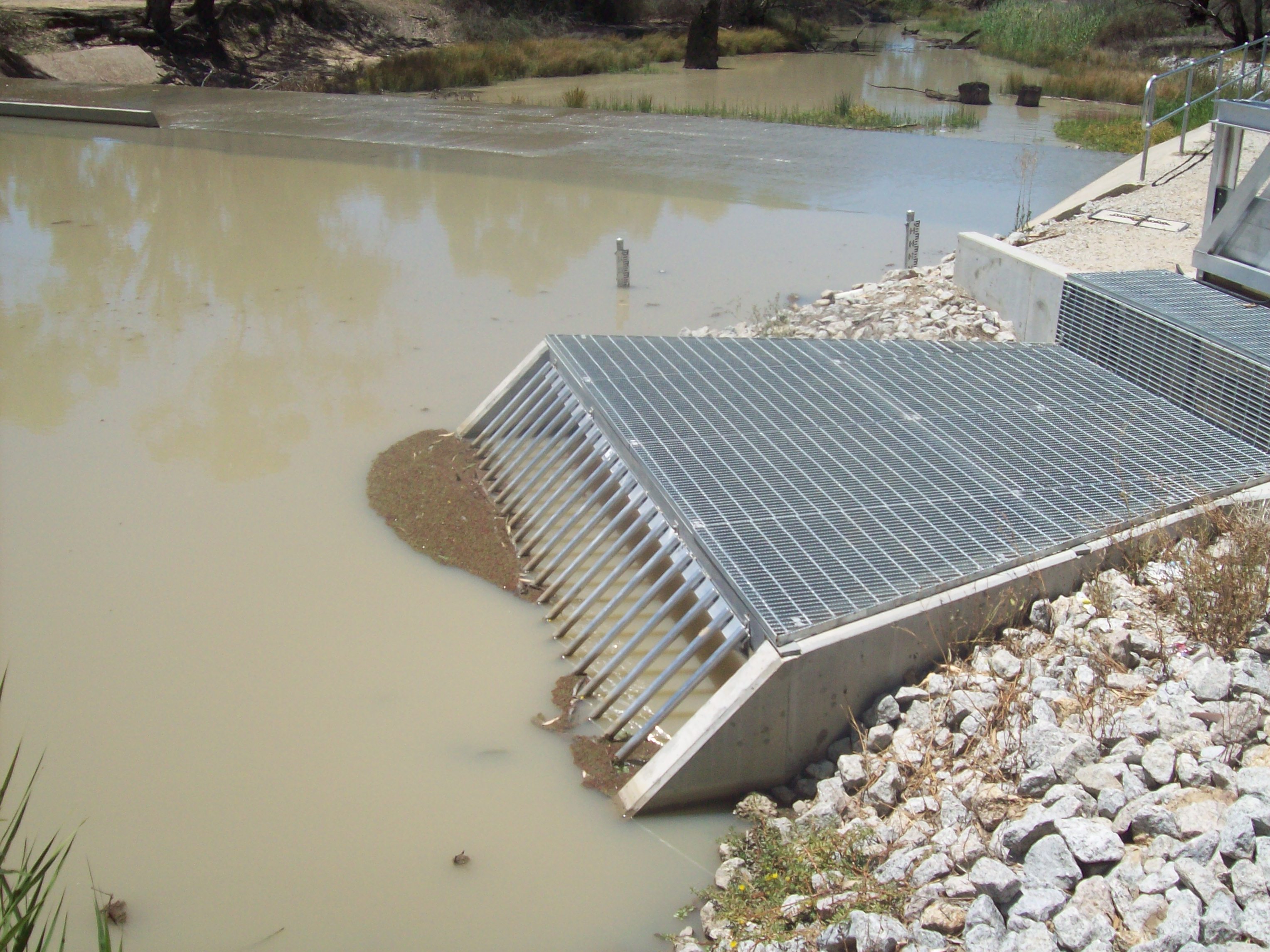 Trash rack and metal grates (Kerang Weir fishway, Loddon River, Victoria) Photo by Ivor Stuart