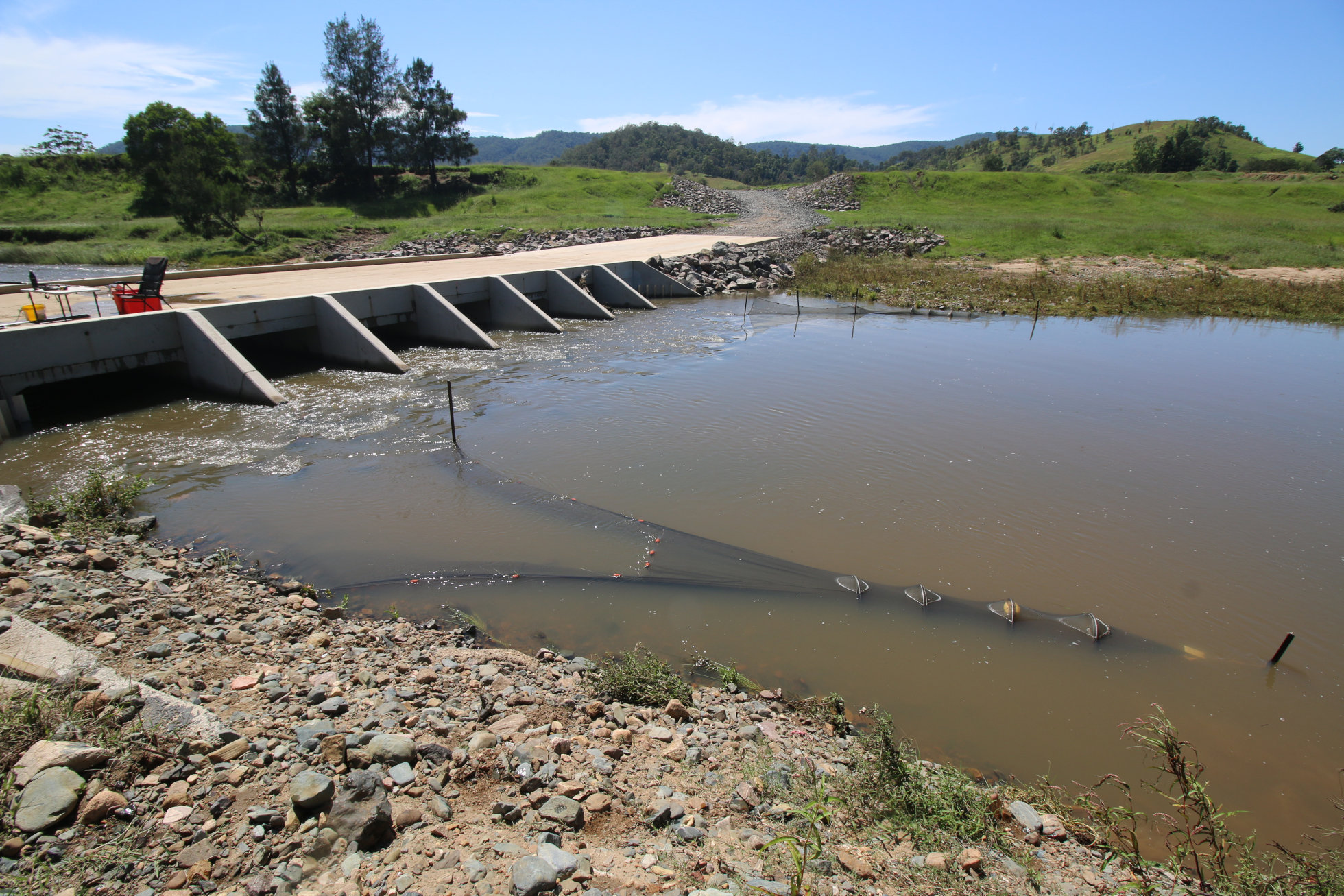 Sampling culverts on the Mary River, Queensland, with Fyke Nets Photo by Andrew Berghuis