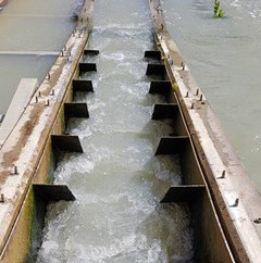 Denil fishway,  Pipeclay Creek, New South Wales Photo by Tim Marsden