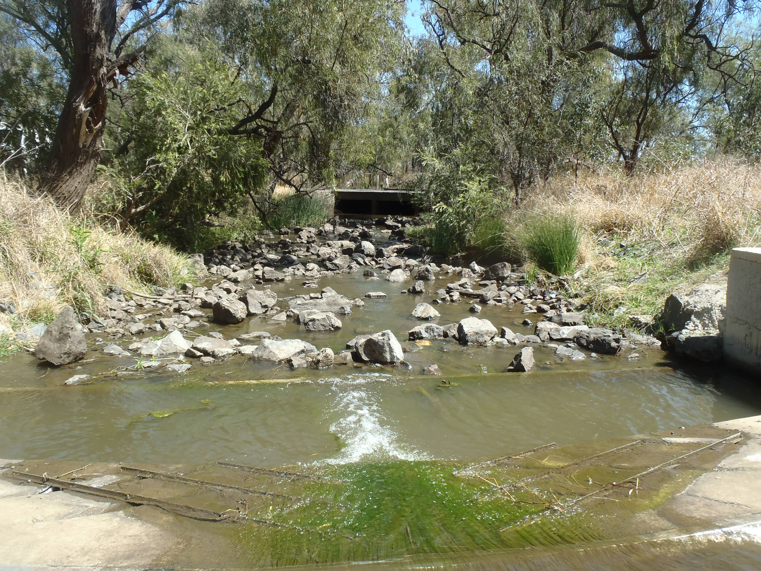 Fish passage structures on Bowenville Gauging Station Weir, Oakey Creek, Queensland including rock ramp and baffles Photo by Andrea Prior