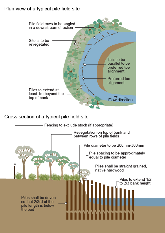 Plan view and cross-sectional diagram of a typical pile field arrangement. Image by Queensland Government