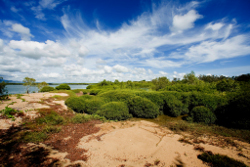 Halifax Bay, Photo by DETSI