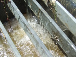 Water down the drain Photo by Cathy Ellis