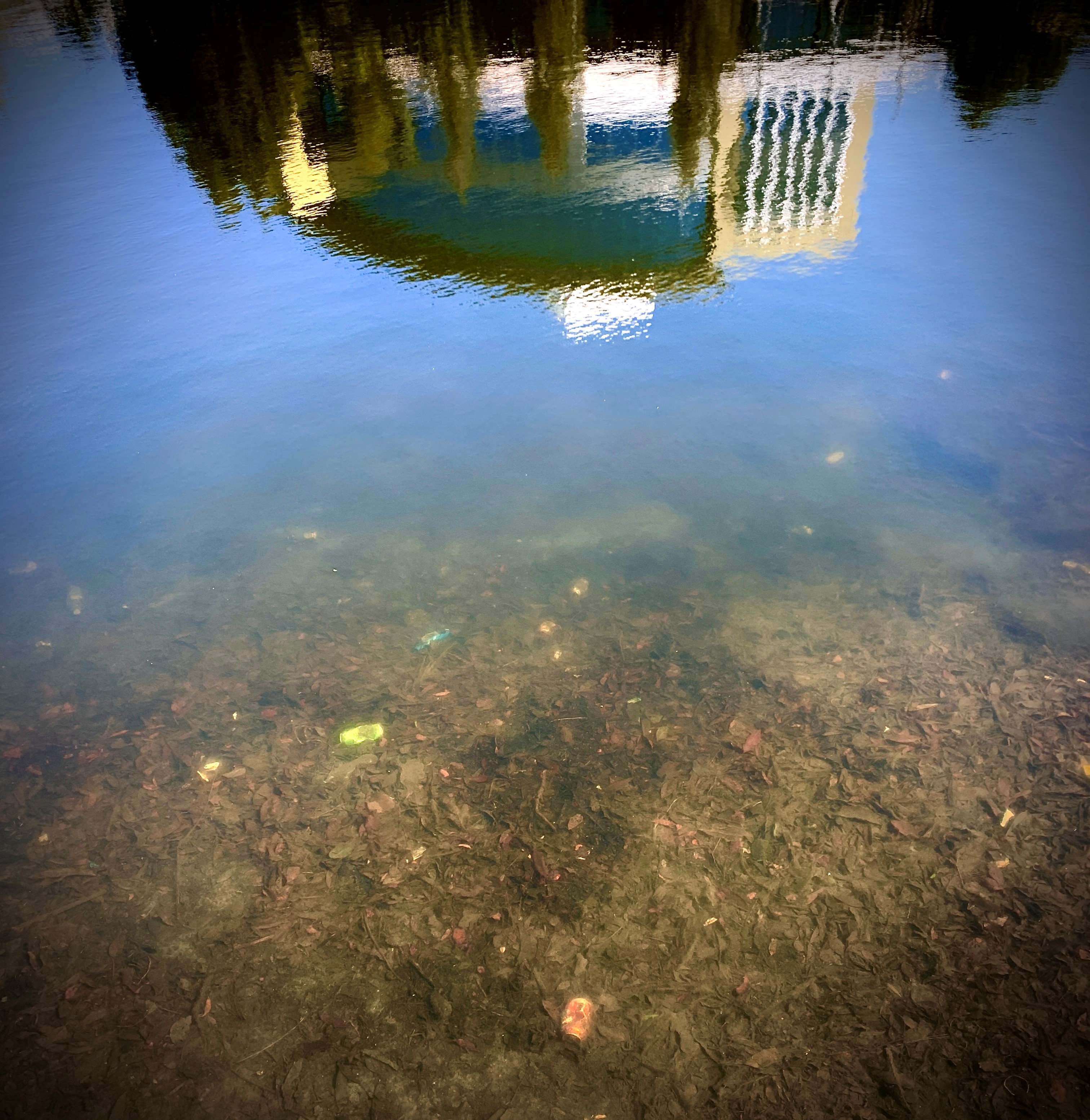 Photo by Queensland Government