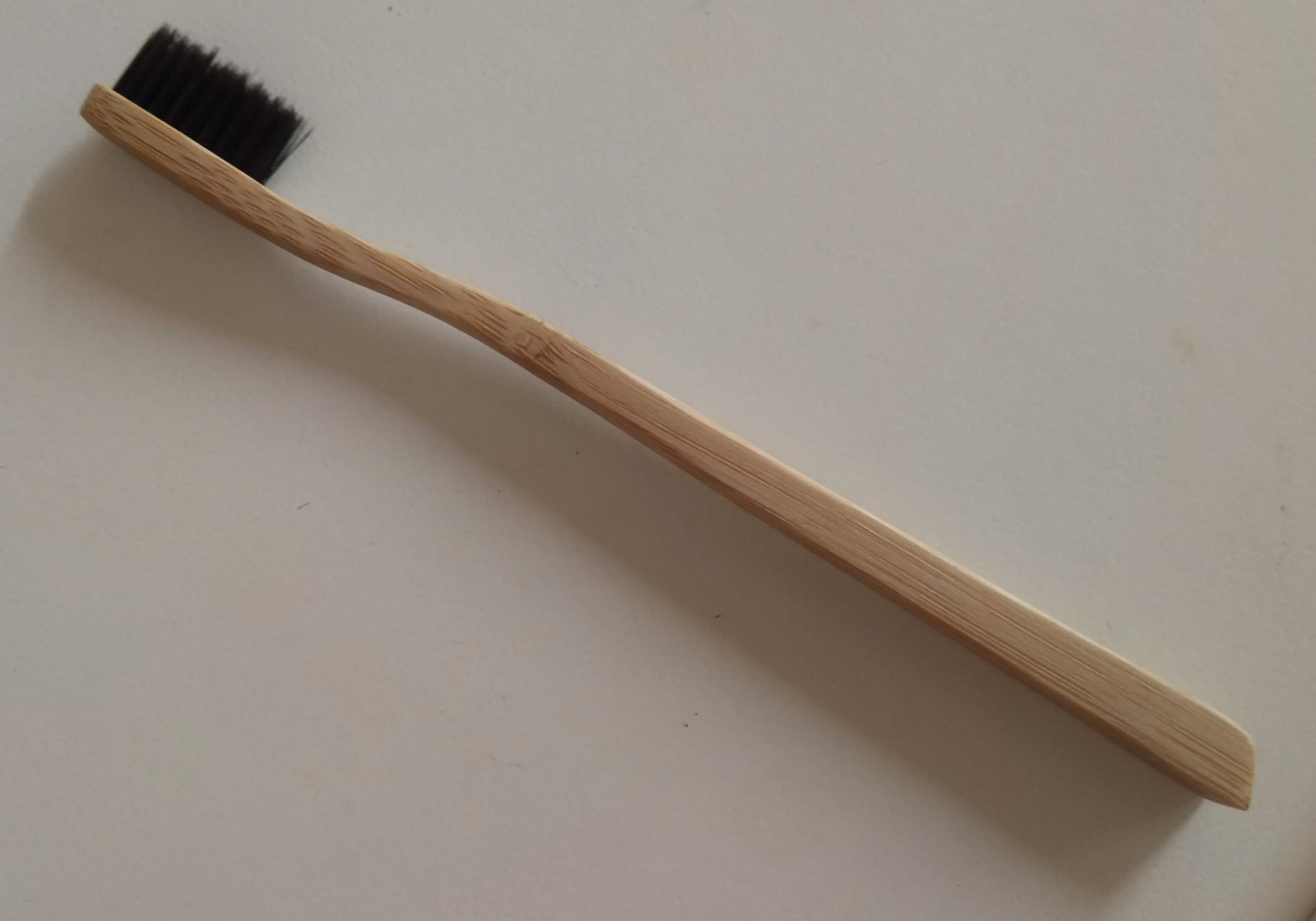 Bamboo is used as an alternative to some plastics Photo by Queensland Government