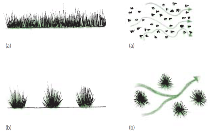 Figure 7 Dense, spreading grass is recommended as it encourages water to slow and spread out through many small flow paths (a). Tussock grass has larger gaps so water takes the path of least resistance bypassing the dense tussocks (b). Image by Prosser and Karssies (2001).