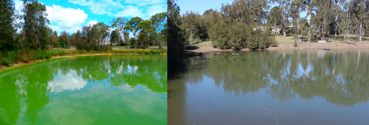 Figure 1 Before and after photo of water body. Photo by Simon Tannock