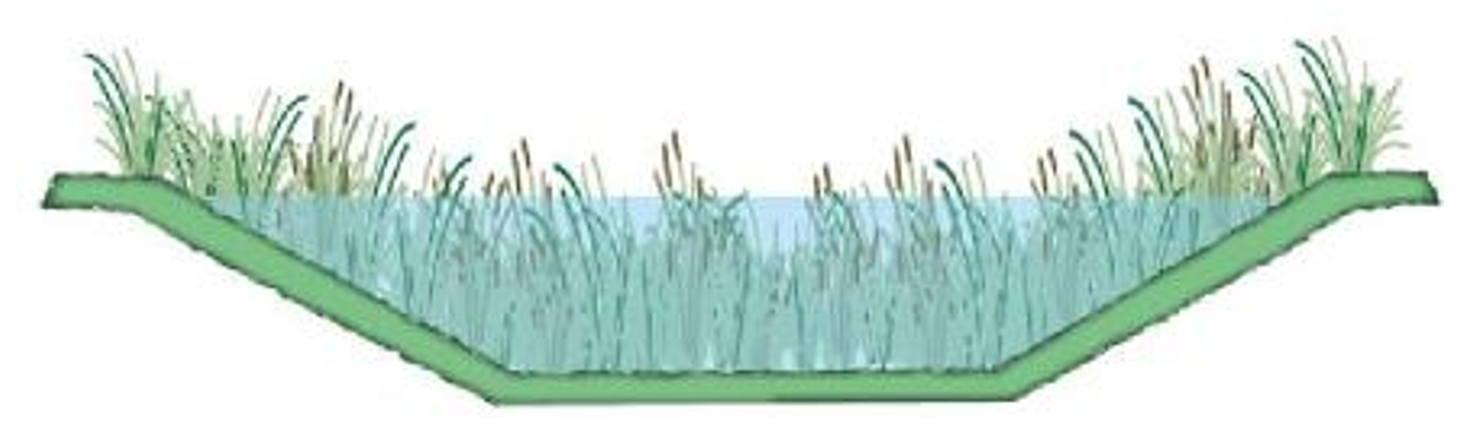 Figure 2 Cross-section of a vegetated drain, showing a flat base and a gentle or gradually sloping batter with dense vegetation