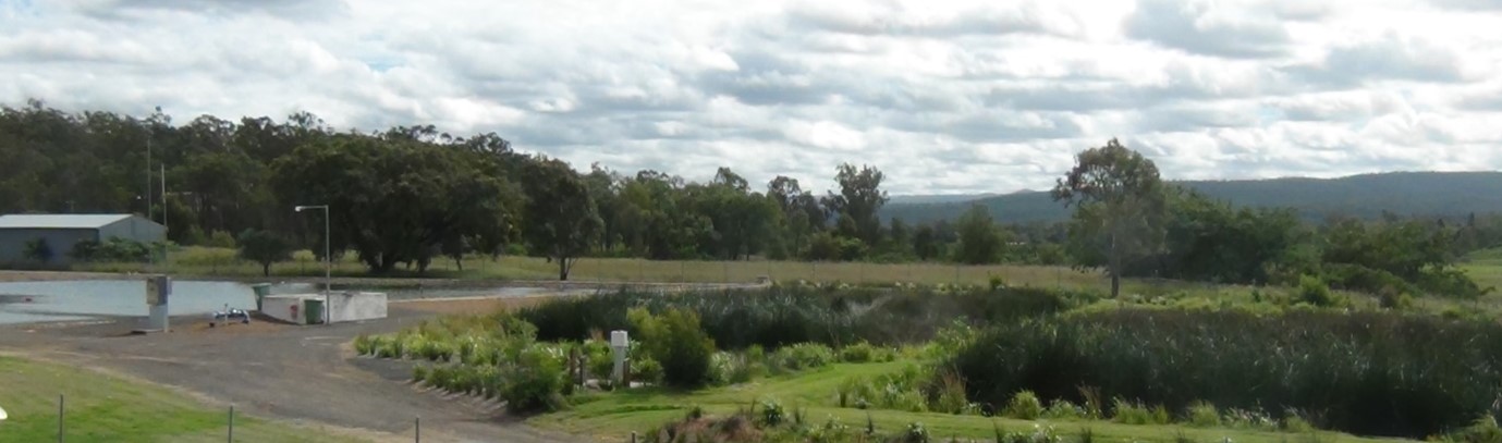 Wetlands at Helidon STP. Photo by Queensland Government