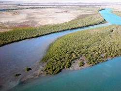 Spring Creek estuary Photo by Roger Jaensch Wetlands International 