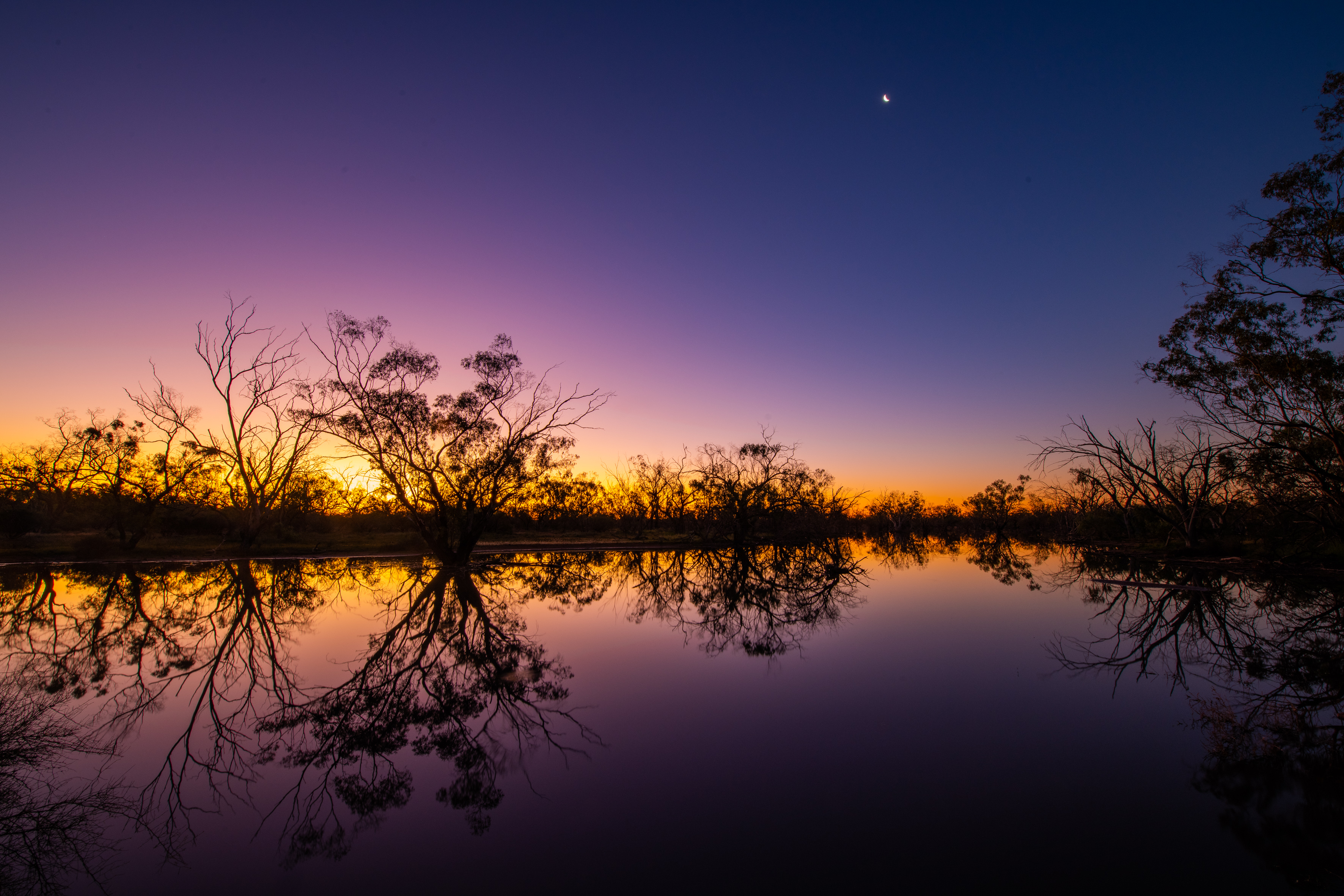 Currawinya Lakes National Park, Photo by Gary Cranitch copyright Queensland Museum