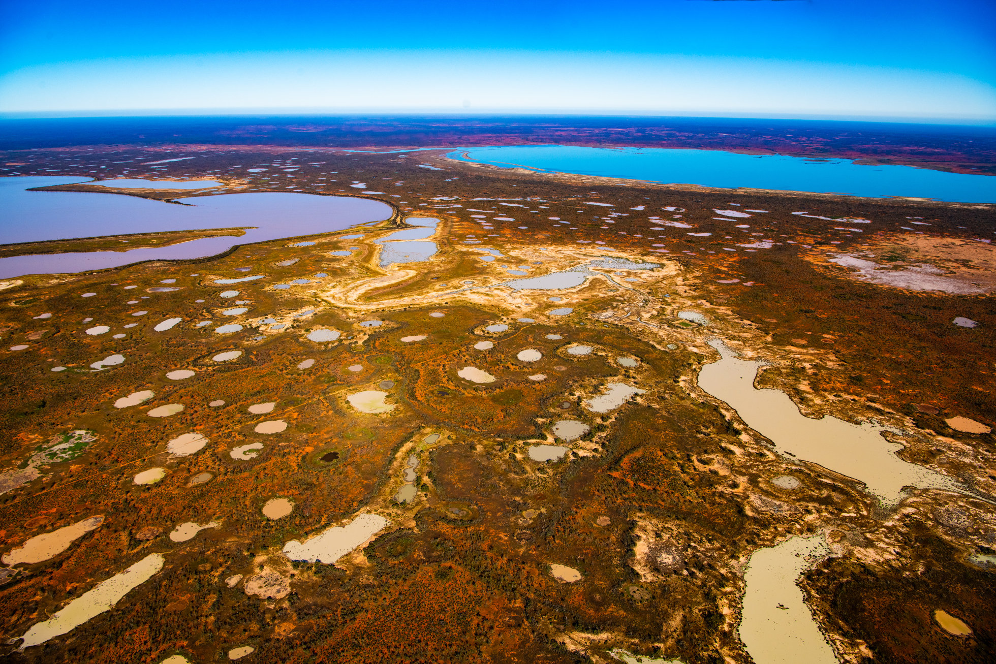 Currawinya Lakes National Park, Photo by Gary Cranitch copyright Queensland Museum