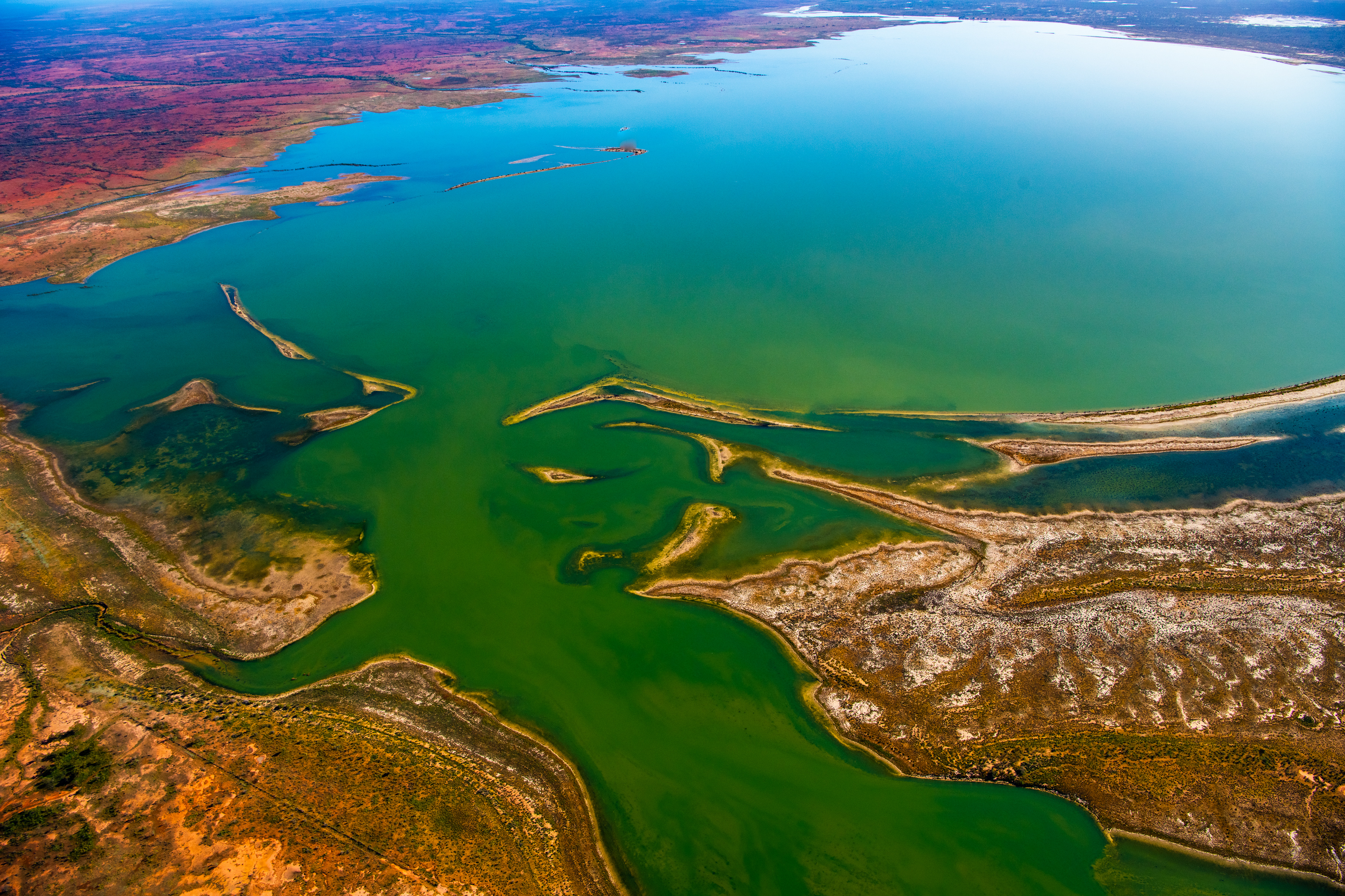 Currawinya Lakes National Park, Photo by Gary Cranitch copyright Queensland Museum