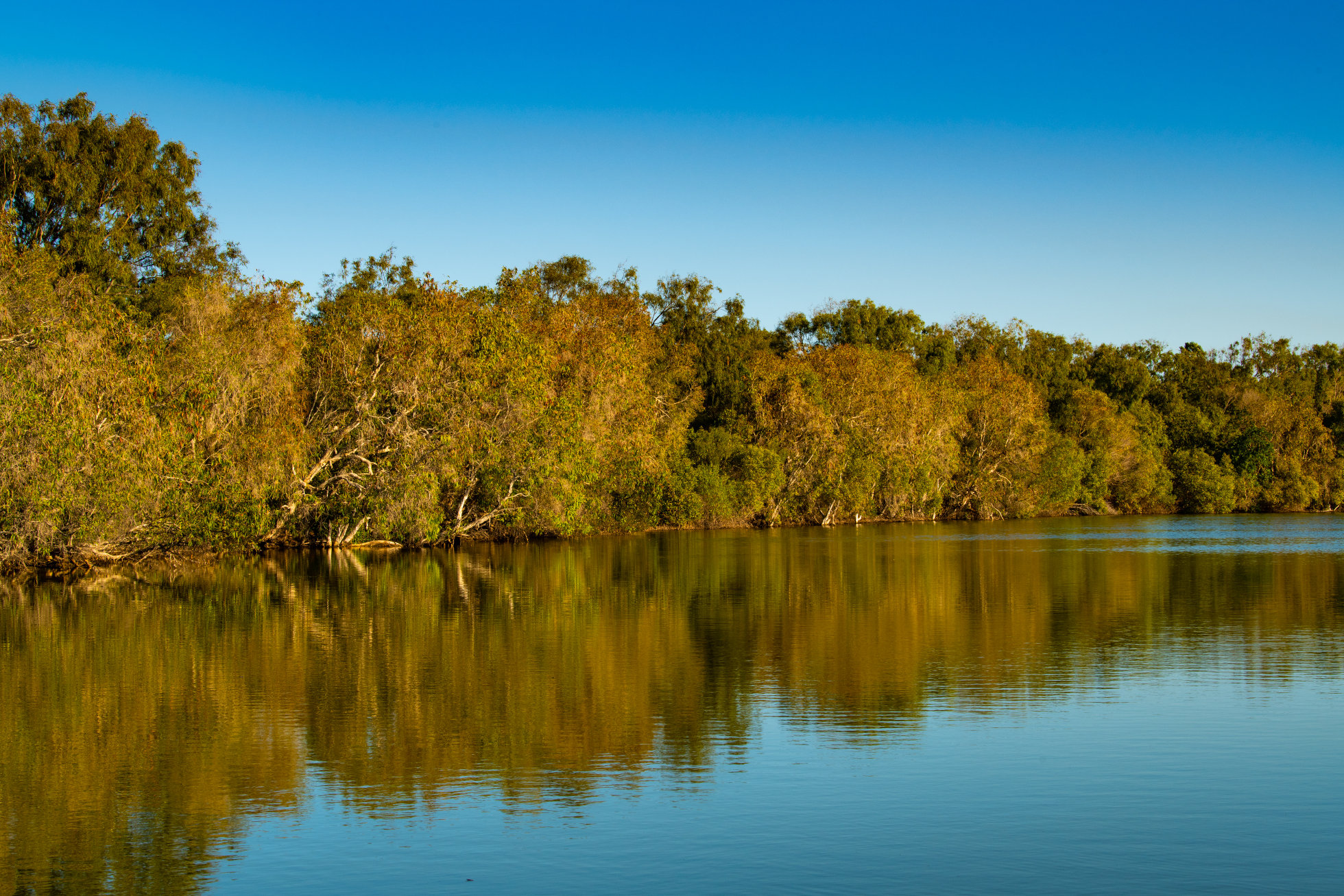 Shoalwater and Corio Bays, Photo by Gary Cranitch copyright Queensland Museum