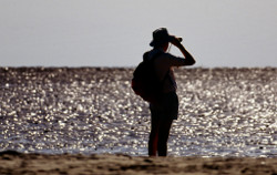 Bird watching Photo by Roger Jaensch