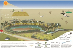 Click to view local area conceptual models