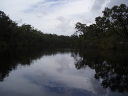 Noosa River  Photo by Shane Chemello