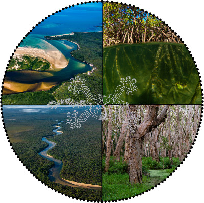 Aquatic ecosystem rehabilitation