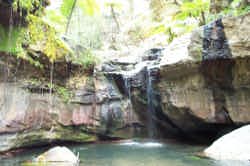 Carnarvon Gorge Phone by Water Planning Ecology Group, DSITIA