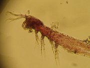 Photo by Moya Tomlinson